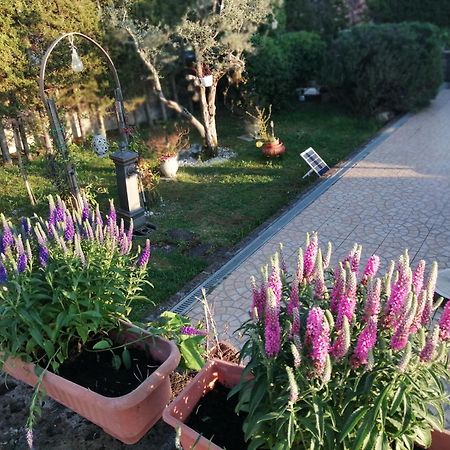B&B Villa Milena Ariano Irpino Eksteriør billede