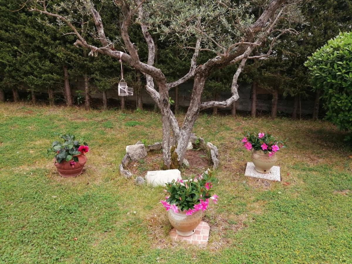 B&B Villa Milena Ariano Irpino Eksteriør billede